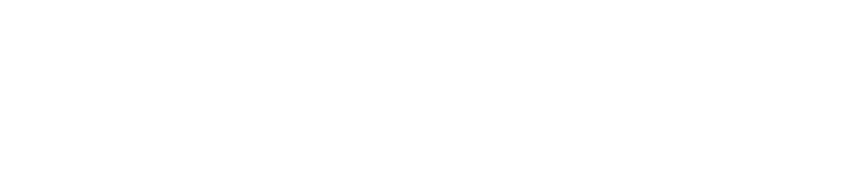 Internet Wielkopolska